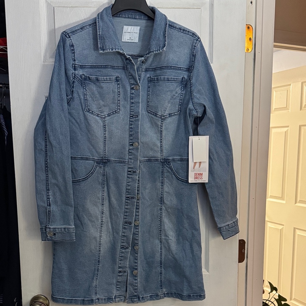 Celebrity Pink Blue Denim Long Sleeve Dress